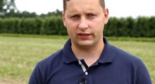 Komunikat jagodowy - 17.07.2020 - Tomasz Domański, Agrosimex