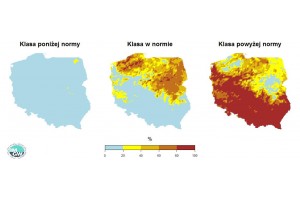  Grafika 5. Prawdopodobieństwo wystąpienia klas „poniżej normy”, „w normie” i „powyżej normy” dla średniej temperatury powietrza w sierpniu 2020 r. według modelu IMGW-PIB.