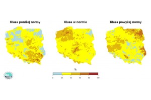  Grafika 10. Prawdopodobieństwo wystąpienia klas „poniżej normy”, „w normie” i „powyżej normy” dla sumy opadów w sierpniu 2020 r. według modelu IMGW-PIB.