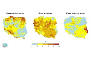  Grafika 13. Prawdopodobieństwo wystąpienia klas „poniżej normy”, „w normie” i „powyżej normy” dla liczby dni z opadem w sierpniu 2020 r. według modelu IMGW-PIB.