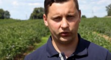 Komunikat borówkowy - 27.07.2020 - Tomasz Domański, Agrosimex