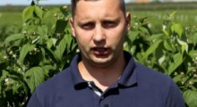 Komunikat jagodowy - 7.08.2020 - Tomasz Domański, Agrosimex