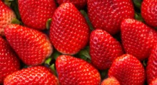 Rosja: Produkcja owoców jagodowych wzrosła o 35%
