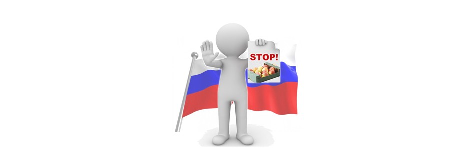 Rosja: Większe kary za przemyt jabłek