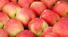 Ceny polskich jabłek dorównują włoskim ?