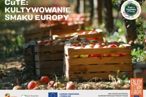  CuTE: Kultywowanie smaku Europy