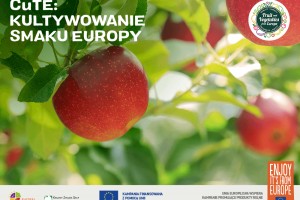  CuTE: Kultywowanie smaku Europy