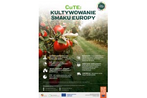  CuTE: Kultywowanie smaku Europy
