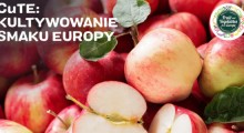 Rusza promocja polskich jabłek w ramach Kampanii CuTE