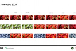  Konsumpcja owoców w sierpniu 2020 roku
