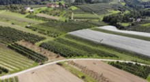 Tani prąd na obszarach wiejskich
