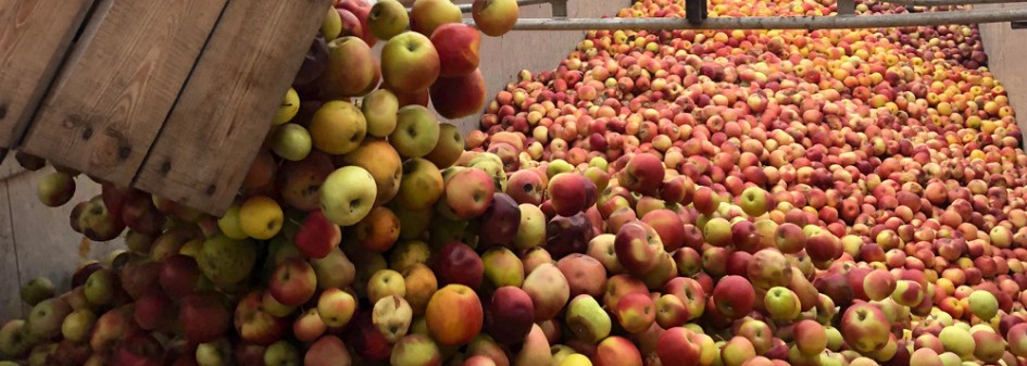 Zmowa cenowa na rynku jabłek ? 