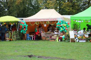  II Piknik Kół Gospodyń Wiejskich Powiatu Grójeckiego podczas Światowego Dnia Jabłka