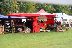  II Piknik Kół Gospodyń Wiejskich Powiatu Grójeckiego podczas Światowego Dnia Jabłka