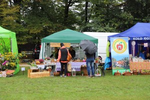  II Piknik Kół Gospodyń Wiejskich Powiatu Grójeckiego podczas Światowego Dnia Jabłka