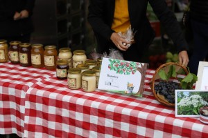  II Piknik Kół Gospodyń Wiejskich Powiatu Grójeckiego podczas Światowego Dnia Jabłka