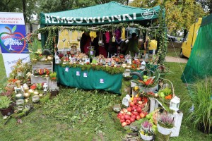  II Piknik Kół Gospodyń Wiejskich Powiatu Grójeckiego podczas Światowego Dnia Jabłka