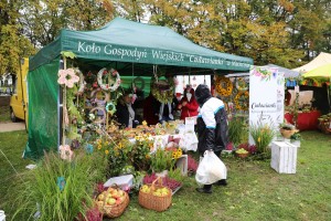  II Piknik Kół Gospodyń Wiejskich Powiatu Grójeckiego podczas Światowego Dnia Jabłka