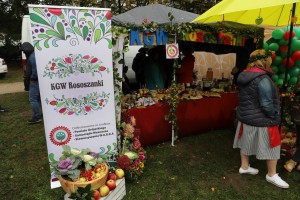  II Piknik Kół Gospodyń Wiejskich Powiatu Grójeckiego podczas Światowego Dnia Jabłka