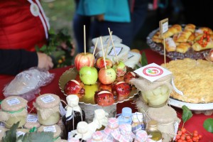  II Piknik Kół Gospodyń Wiejskich Powiatu Grójeckiego podczas Światowego Dnia Jabłka