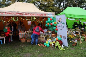  II Piknik Kół Gospodyń Wiejskich Powiatu Grójeckiego podczas Światowego Dnia Jabłka