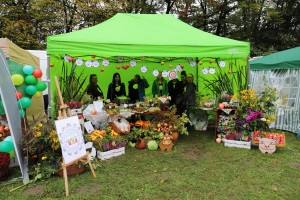  II Piknik Kół Gospodyń Wiejskich Powiatu Grójeckiego podczas Światowego Dnia Jabłka