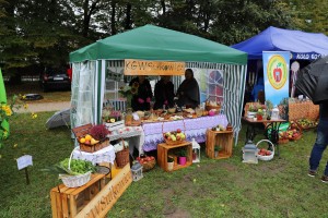  II Piknik Kół Gospodyń Wiejskich Powiatu Grójeckiego podczas Światowego Dnia Jabłka