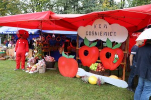  II Piknik Kół Gospodyń Wiejskich Powiatu Grójeckiego podczas Światowego Dnia Jabłka