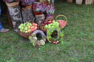  II Piknik Kół Gospodyń Wiejskich Powiatu Grójeckiego podczas Światowego Dnia Jabłka