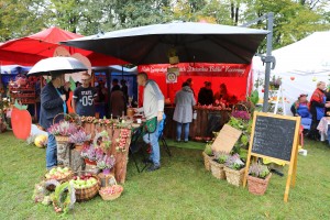  II Piknik Kół Gospodyń Wiejskich Powiatu Grójeckiego podczas Światowego Dnia Jabłka