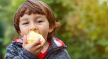 We wrześniu 86% Polaków spożywało jabłka 