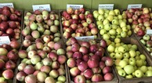 Konsumenci chcą kupować owoce bezpośrednio od sadownika 