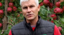 Komunikat sadowniczy - 30.09.2020 - Robert Binkiewicz, Agrosimex