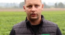 Komunikat jagodowy - 2.10.2020 - Tomasz Domański, Agrosimex