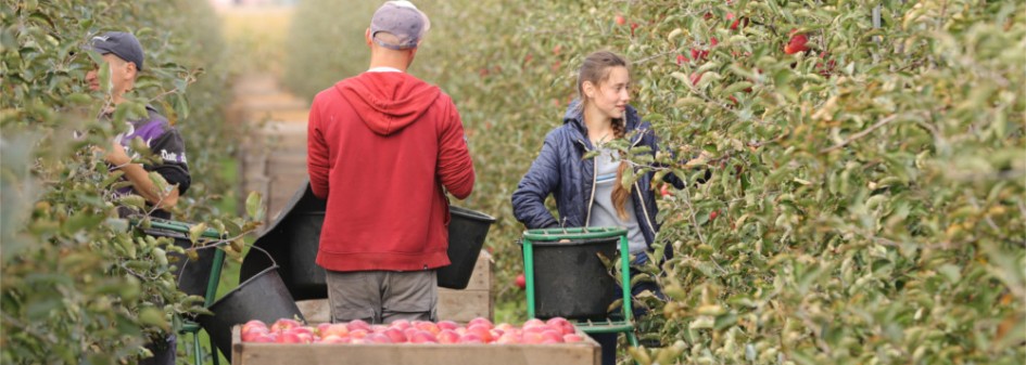 Czerwone strefy odstraszają pracownik&oacute;w z Ukrainy