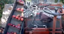 Kombajn do jabłek przemysłowych SAM