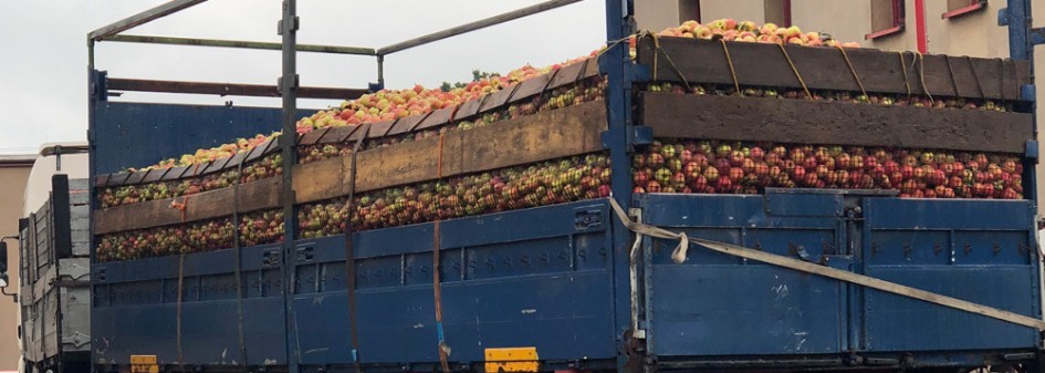 Jak kształtują się ceny jabłek przemysłowych ?