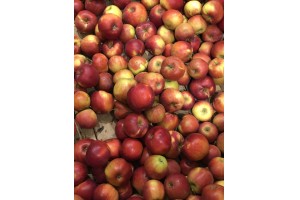 Polskie jabłka Jonagold w Lidlu / 12.10.2020