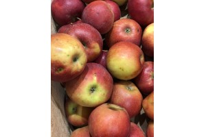 Polskie jabłka Jonagold w Lidlu / 12.10.2020