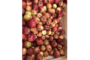 Polskie jabłka Jonagold w Lidlu / 12.10.2020