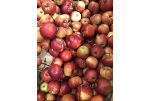 Polskie jabłka Jonagold w Lidlu / 12.10.2020