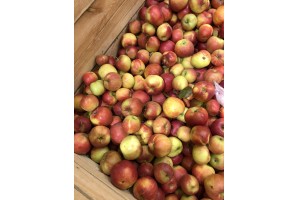 Polskie jabłka Jonagold w Lidlu / 12.10.2020