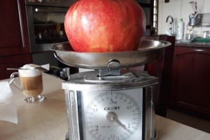  Red Jonaprince - jabłko o wadze 1,14 kg [foto: sadeczanin.info] 