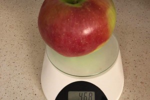  Red Ligol - jabłko o wadze 0,468 kg [foto: Marcin] 
