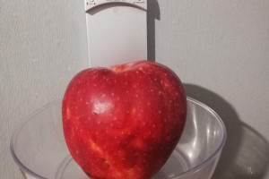  Red Jonaprince - jabłko o wadze 0,742 kg [foto: Bartek] 