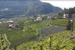  Sady jabłoniowe i winnice w Południowym Tyrolu we Włoszech