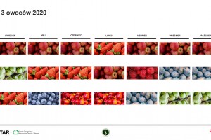  Konsumpcja owoców w październiku 2020 roku