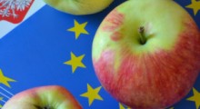 Rośnie popyt na polskiej jabłka w Europie !