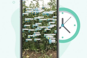  Aplikacja informuje ilość jabłek na drzewie 