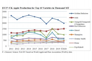 USDA: Zbiory jabłek w UE w 2020 roku - odmiany